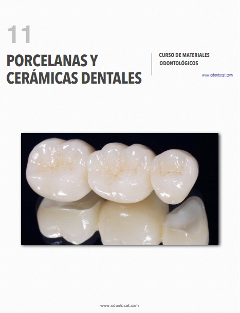 Biomateriales Odontologicos De Uso Clinico Pdf 11