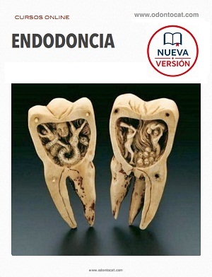 +MÁS INFORMACIÓN