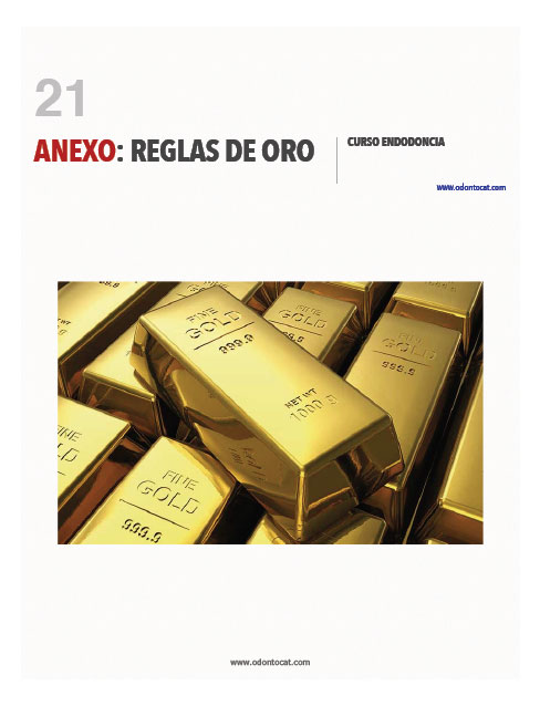 ANEXO: Reglas de Oro