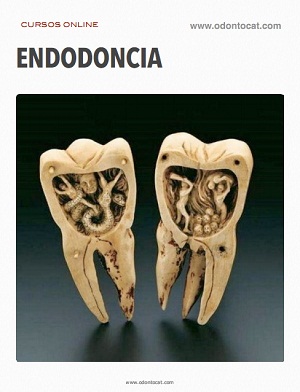 Portada del curso Endodoncia