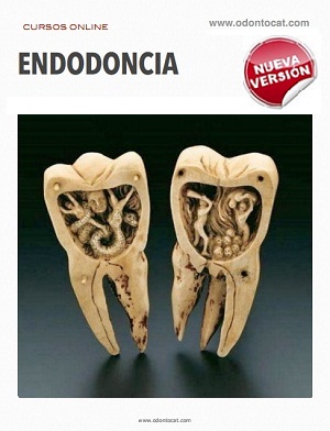 Curso de Endodoncia