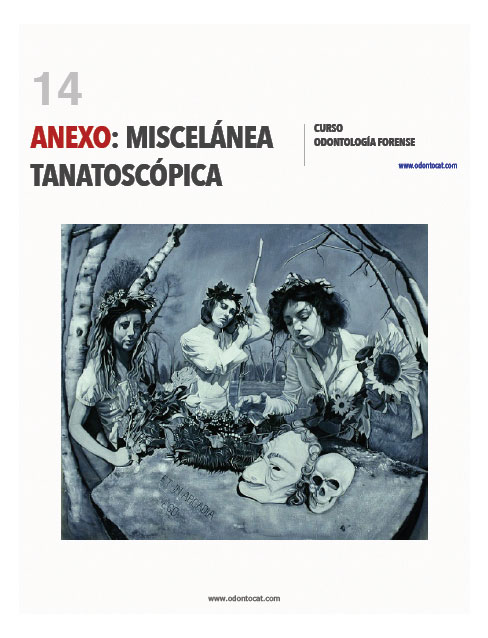 ANEXO